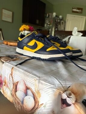 Nike Low-Top Sneakers in Michigan Colorway